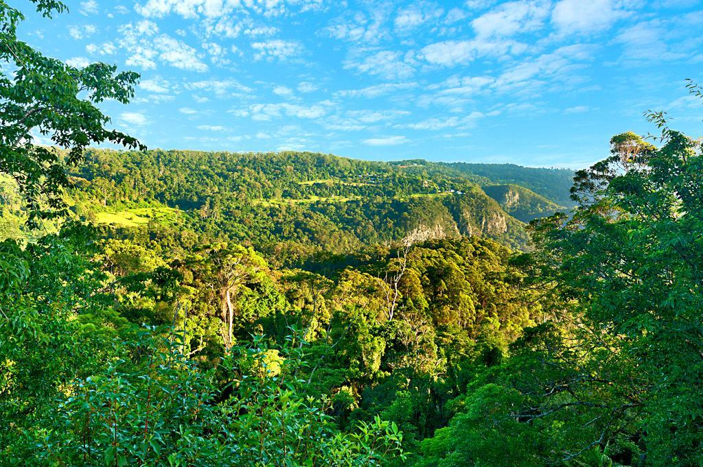 Escarpment Retreat & Day Spa For Couples Mount Tamborine Extérieur photo