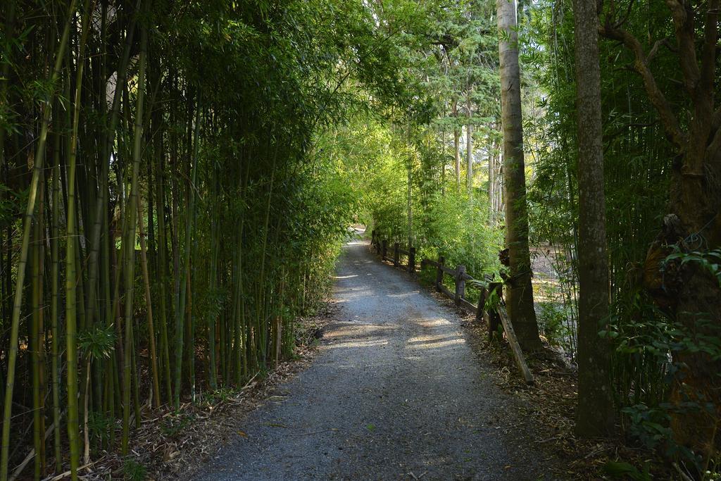 Escarpment Retreat & Day Spa For Couples Mount Tamborine Extérieur photo