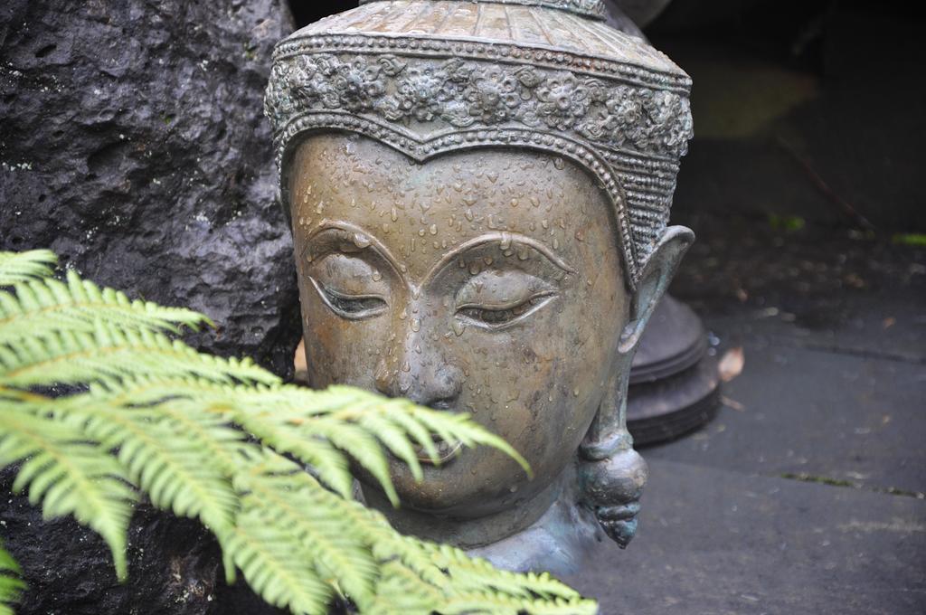 Escarpment Retreat & Day Spa For Couples Mount Tamborine Extérieur photo