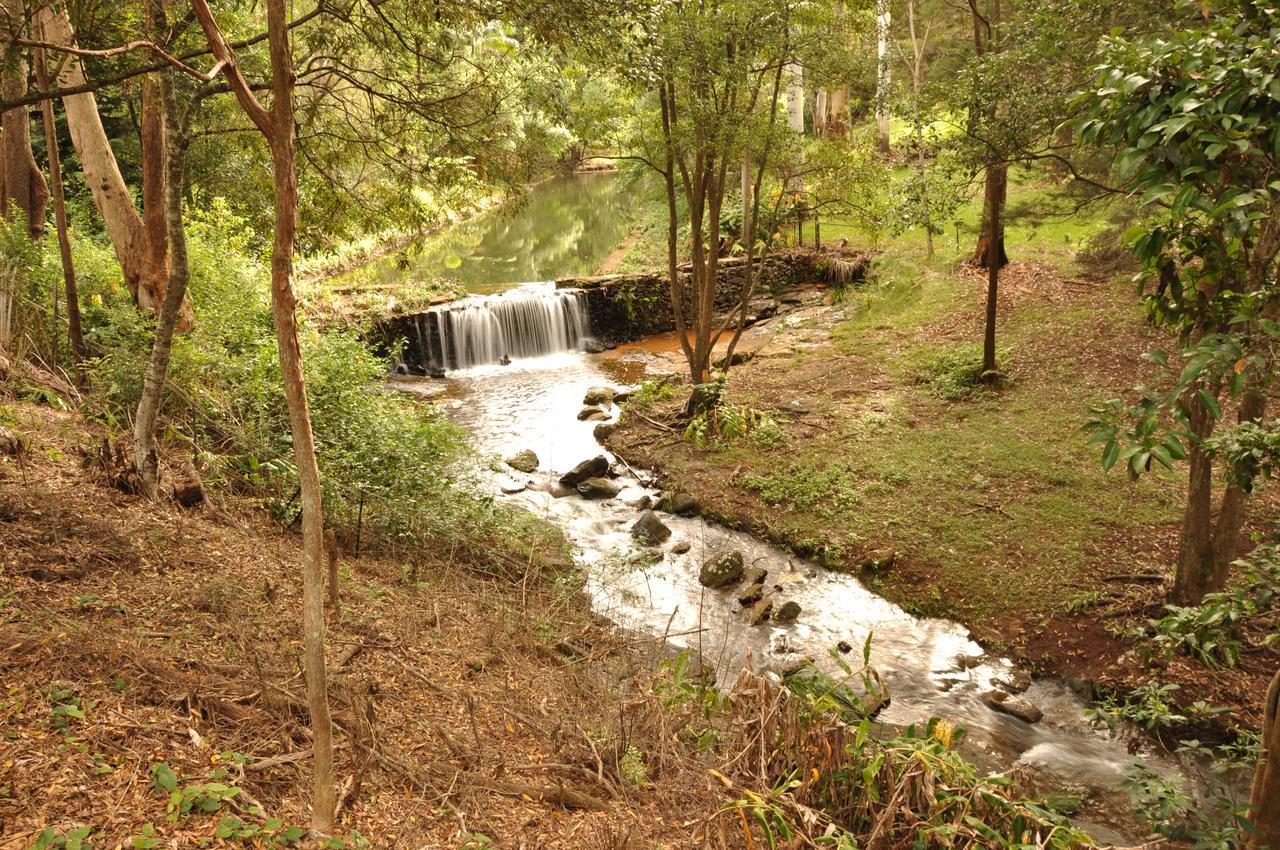 Escarpment Retreat & Day Spa For Couples Mount Tamborine Extérieur photo