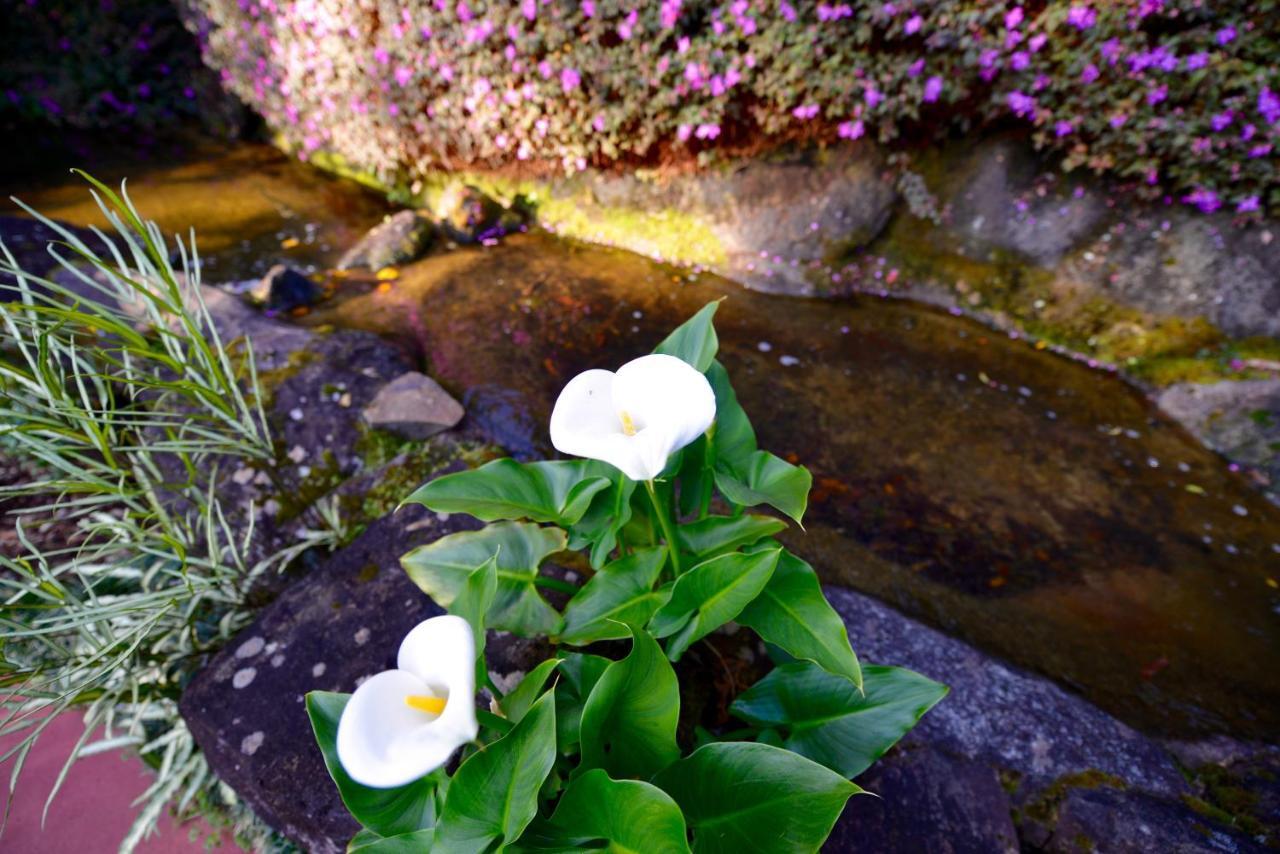 Escarpment Retreat & Day Spa For Couples Mount Tamborine Extérieur photo